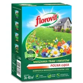 Nasiona i cebule - FLOROVIT Polna Łąka Trawa z kwiatami i ziołami 940g - miniaturka - grafika 1