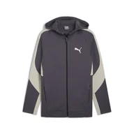 Bluzy męskie - PUMA BLUZA EVOSTRIPE FZ DK 68170069 r L - miniaturka - grafika 1