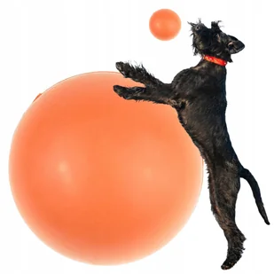 Zabawka dla psa piłka LANA twarda i mocna PEŁNA W ŚRODKU nie piszczy 8 cm - Zabawki dla psów - miniaturka - grafika 1