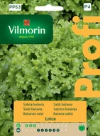 Nasiona i cebule - Sałata gruntowa Betavia Lirice nasiona Vilmorin - miniaturka - grafika 1