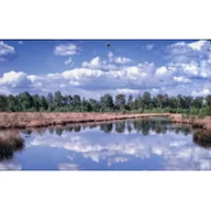 Kalendarze - Kalendarz 2019 trójdzielny Jezioro - miniaturka - grafika 1