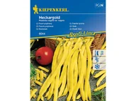Nasiona i cebule - Fasola tyczna NECKERGOLD żółta nasiona Kiepenkerl - miniaturka - grafika 1