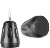 Głośniki i kolumny - Audioport Głośnik wiszący 5,5'' 1szt 30W/100V AW32-B czarny one size - miniaturka - grafika 1