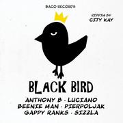 Reggae - Big Slap & Black Bird Riddims By City Kay Różni Wykonawcy Płyta CD) - miniaturka - grafika 1