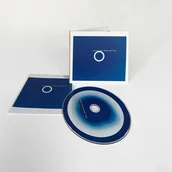 Muzyka alternatywna - Beaucoup Fish - miniaturka - grafika 1