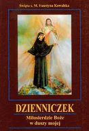 Religia i religioznawstwo - Dzienniczek. Miłosierdzie Boże w duszy mojej - miniaturka - grafika 1