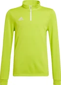 Bluzy damskie - Bluza dla dzieci adidas Entrada 22 Training Top limonkowa HC5060-116cm - miniaturka - grafika 1