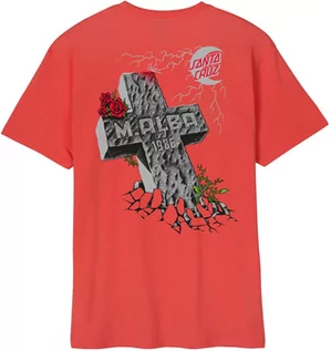 Koszulki męskie - t-shirt męski SANTA CRUZ MALBA TOMBSTONE TEE Astro Dust - grafika 1