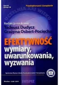 Ekonomia - Efektywność Wymiary uwarunkowania wyzwania - miniaturka - grafika 1