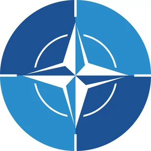 Tabliczka nato - śr. 24 cm - Tablice i flipcharty - miniaturka - grafika 1