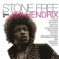 Rock - Jimi Hendrix Stone Free Vinyl 180 g) - miniaturka - grafika 1