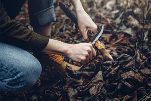 Szkoła przetrwania - Survival Twardziel "72h" - Piotrków Trybunalski - Czasopisma - miniaturka - grafika 1