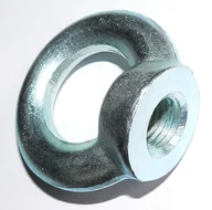 Śruby i nakrętki - NAKRĘTKA Z UCHEM OCYNKOWANA DIN 582 10*1.5 MM - miniaturka - grafika 1