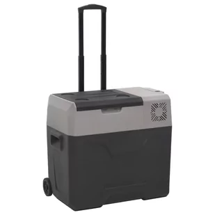 vidaXL Lodówka na kółkach, z uchwytem, czarno-szara, 50 L, PP - Lodówki turystyczne - miniaturka - grafika 1