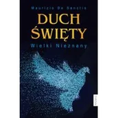 Religia i religioznawstwo - Duch święty Wielki Nieznany - miniaturka - grafika 1