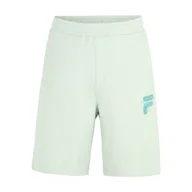 Spodenki męskie - Męskie Spodenki FILA BAIERN OVERSIZED FAM0339-60026 – Zielony - miniaturka - grafika 1