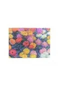 Teczki i skoroszyty - Teczka A4 Monet's Chrysanthemums PA9763-1 - miniaturka - grafika 1
