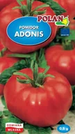 Nasiona i cebule - Pomidor Adonis 0.5 g POLAN - miniaturka - grafika 1