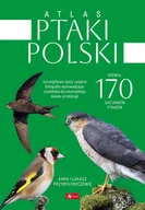 Poradniki hobbystyczne - Ptaki Polski. Atlas - miniaturka - grafika 1