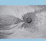 Muzyka klubowa, dance - New Energy Four Tet Płyta winylowa) - miniaturka - grafika 1