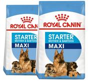 Mokra karma dla psów - Royal Canin Maxi Starter Mother&Babydog 15kg + Pojemnik na karmę 42L - miniaturka - grafika 1