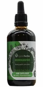 Suplementy naturalne - Lymeherbs, Andrographis ekstrakt bezalkoholowy 1:1, 100ml - miniaturka - grafika 1