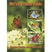 Motyle dzienne Polski - Albumy inne - miniaturka - grafika 1