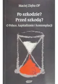 Felietony i reportaże - Po szkodzie Przed szkodą O Polsce kapitalizmie i kontemplacji - miniaturka - grafika 1