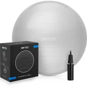 Piłki do ćwiczeń - Piłka gimnastyczna 65cm + pompka Gymtek - miniaturka - grafika 1