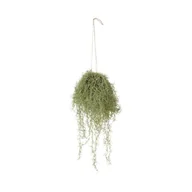 Sztuczne kwiaty - SPLENDID Oplątwa sztuczna wisząca 74cm - miniaturka - grafika 1