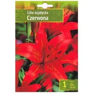 Nasiona i cebule - Kapers Lilium - Lilia Azjatycka Czerwona 16/18 1 Szt. Benex - miniaturka - grafika 1