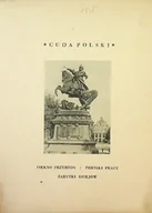 Historia Polski - Lwów 1931 r. - miniaturka - grafika 1
