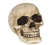 Figurki dekoracyjne - Czaszka dekoracyjna 8cm - miniaturka - grafika 1
