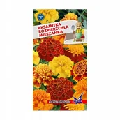 Nasiona i cebule - Aksamitka rozpierzchła mieszanka 1g / O / - miniaturka - grafika 1