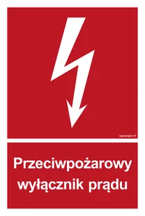 BB012 PRZECIWPOŻAROWY WYŁĄCZNIK PRĄDU, FS - FOLIA SAMOPRZYLEPNA FOTOLUMINESCENCYJNA; (150X222MM) - Systemy ekspozycyjne i znaki informacyjne - miniaturka - grafika 1
