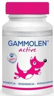 Suplementy i witaminy dla psów - Gammolen Active preparat wzmacniający dla psów aktywnych 90tab - miniaturka - grafika 1