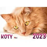 Kalendarze - Kalendarz 2023 Koty - miniaturka - grafika 1
