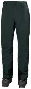 Męskie spodnie narciarskie HELLY HANSEN LEGENDARY INSULATED PANTS - zielone - Spodnie sportowe męskie - miniaturka - grafika 1