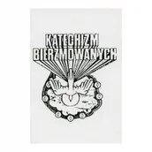 Religia i religioznawstwo - Wydawnictwo Diecezjalne Sandomierz praca zbiorowa Katechizm bierzmowanych - miniaturka - grafika 1