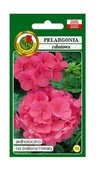 Nasiona i cebule - Pelargonia rabatowa F1 różowa 10z PNOS - miniaturka - grafika 1