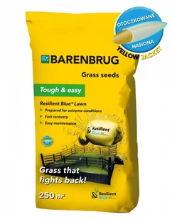 Trawa odporna na suszę Barenbrug Resilent Blue Lawn 5kg - Trawy i trawniki - miniaturka - grafika 1