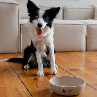 DINGO-miska z włókna bambusowego antypoślizgowa - 1500ml - Miski dla psów - miniaturka - grafika 4