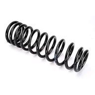 Sprężyny zawieszenia - KYB Sprężyna zawieszenia RC5316 - miniaturka - grafika 1