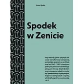 Książki o architekturze - Narodowy Instytut Architektury i Urbanis Spodek w Zenicie. Przewodnik po architekturze.. - Anna Syska - miniaturka - grafika 1