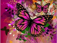 Zabawki kreatywne - ZESTAW HAFT DIAMENTOWY MOZAIKA DIAMENTOWA , MOTYLE W RÓŻU - miniaturka - grafika 1