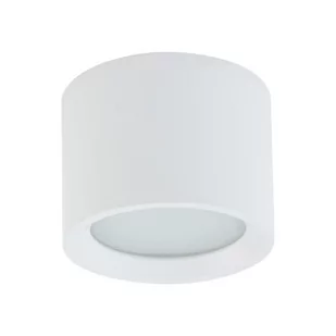 Maun lampa sufitowa 1xGX53/IP54 biała 10481 - Lampy sufitowe - miniaturka - grafika 1