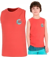 Koszulki męskie - 4F CHĹOPIÄCA KOSZULKA BEZRÄKAWNIK BAWEĹNA / rozm 140 - miniaturka - grafika 1