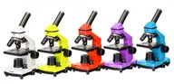 Mikroskopy i lupy - (BG) Mikroskop Levenhuk Rainbow 2L PLUS - miniaturka - grafika 1