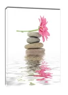 Obrazy i zdjęcia na płótnie - Spa. Kamienie zen i kwiaty - obraz na płótnie Wymiar do wyboru: 40x50 cm - miniaturka - grafika 1