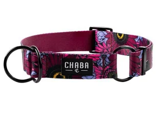 CHABA Obroża półzaciskowa Story III L Lakota - Obroże dla psów - miniaturka - grafika 1